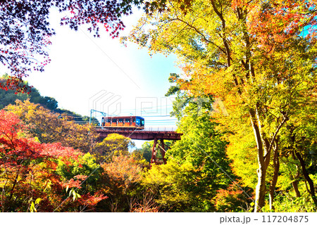 京都府 石清水八幡宮へ登るケーブルカーと紅葉 京都府 石清水八幡宮へ登るケーブルカーと紅葉 117204875