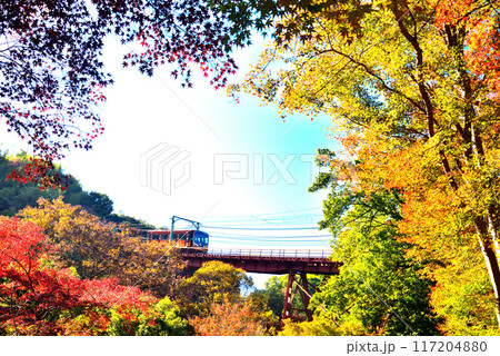 京都府 石清水八幡宮へ登るケーブルカーと紅葉 117204880