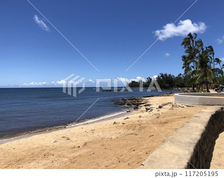 ハワイのノースショアのビーチ 117205195