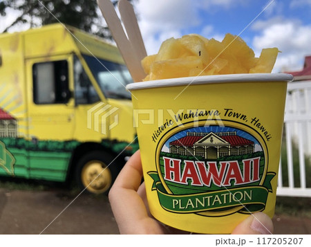 ハワイのドールプランテーションのパイナップルアイス ハワイのドールプランテーションのパイナップルアイス 117205207