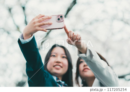 15 years old 15 years old 117205254