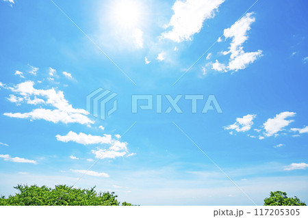 夏の雲と木立と太陽 117205305