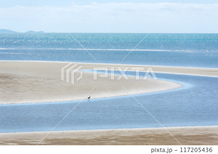 Tranquil Beach Scene 117205436