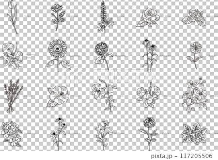 Spring and summer floral line drawing illustration set Spring and summer floral line drawing illustration set 117205506
