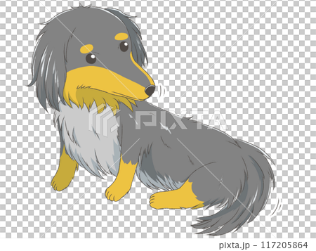 Miniature Dachshund 11 Miniature Dachshund 11 117205864