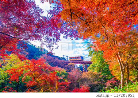 石清水八幡宮参道ケーブルと紅葉 117205953