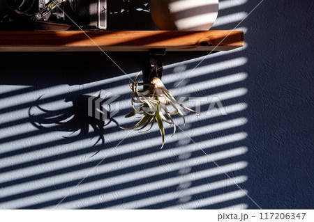 ブラインドの影 117206347