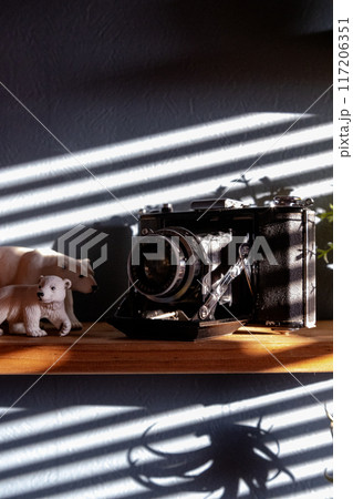 ブラインドの影 117206351