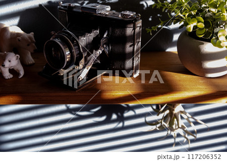 ブラインドの影 117206352