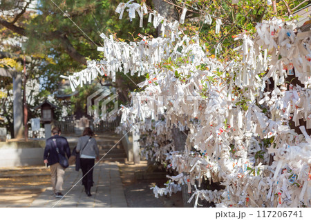 【日本】千葉県の船橋大神宮境内の枝に大量に結び付けられた御神籤 117206741