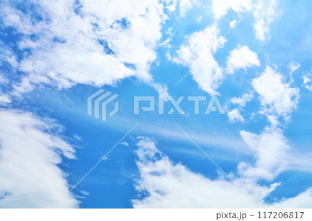 夏の青空と雲 117206817