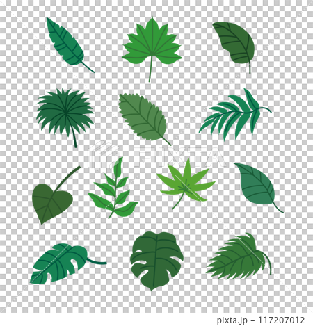 Illustration set of leaves 117207012