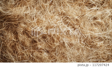 Detailed shot of haystack with keywords brown, grass, pattern Detailed shot of haystack with keywords brown, grass, pattern 117207424
