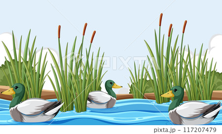 Ducks Swimming in a Pond 117207479
