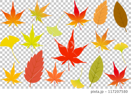 Set of autumn leaves, maple, ginkgo and leaves 1 117207580