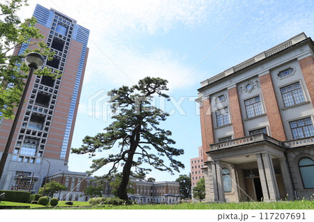 群馬会館と黒松（県木）と群馬県庁 117207691