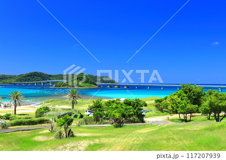 【山口県】快晴の角島大橋(西長門リゾート) 【山口県】快晴の角島大橋(西長門リゾート) 117207939