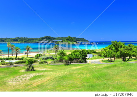 【山口県】快晴の角島大橋(西長門リゾート) 【山口県】快晴の角島大橋(西長門リゾート) 117207940