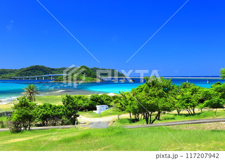 【山口県】快晴の角島大橋(西長門リゾート) 【山口県】快晴の角島大橋(西長門リゾート) 117207942