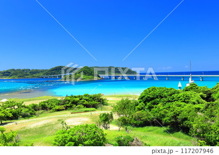 【山口県】快晴の角島大橋（西長門リゾート） 117207946
