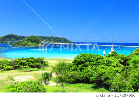 【山口県】快晴の角島大橋(西長門リゾート) 【山口県】快晴の角島大橋(西長門リゾート) 117207950