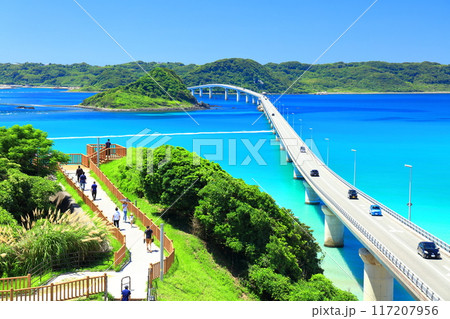 【山口県】快晴の角島大橋(海士ヶ瀬ロード) 【山口県】快晴の角島大橋(海士ヶ瀬ロード) 117207956