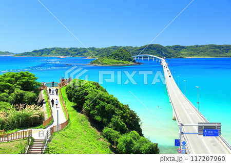 【山口県】快晴の角島大橋（海士ヶ瀬ロード） 117207960