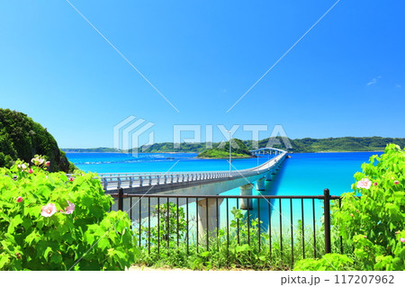 【山口県】快晴の角島大橋(海士ヶ瀬ロード) 【山口県】快晴の角島大橋(海士ヶ瀬ロード) 117207962