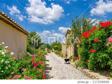 南フランス　花が咲く小道のイメージ 117208000