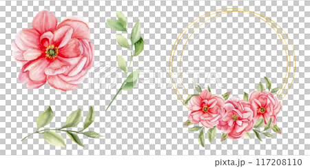 Pink blooming peony, green leaves and round frame watercolor set. Elements for wedding card, invitation, birthday party design. Floral romantic arrangements, spring flowers for mother's day 117208110