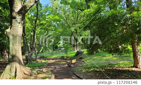 旧渋沢庭園 旧渋沢庭園 117208146