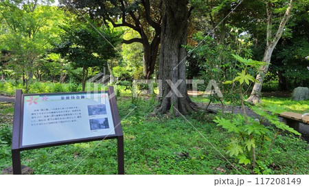 茶席待合跡 茶席待合跡 117208149