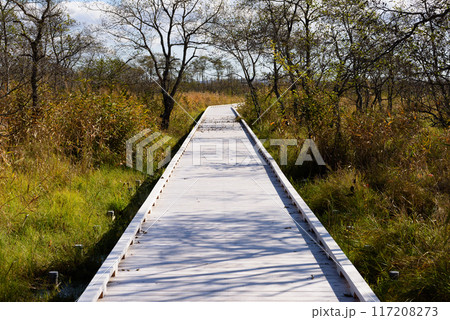 秋の釧路湿原の紅葉 117208273
