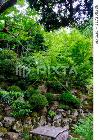 京都の旧家の日本庭園 117208286