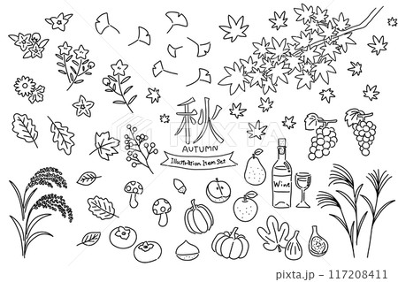秋の線画のベクターイラストセット 117208411