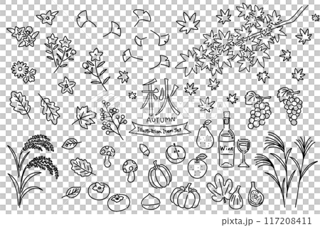 秋季線條畫向量插圖集 117208411