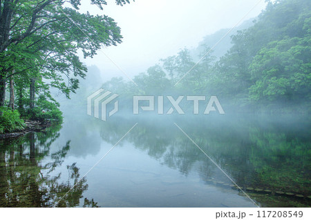 霧のドッコ沼 117208549