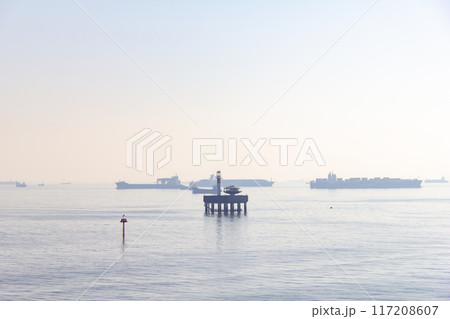 東京湾を行きかう船 117208607