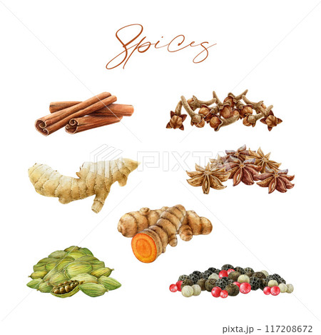 Mane cooking spice element set on white background. Vintage style illustration. Hand drawn cinnamon, peppercorn blend, cardamom, clove, curcuma root spices collection for cooking and seasoning 117208672