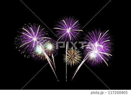 Beautiful purple fireworks sparkling on night sky. 117208905