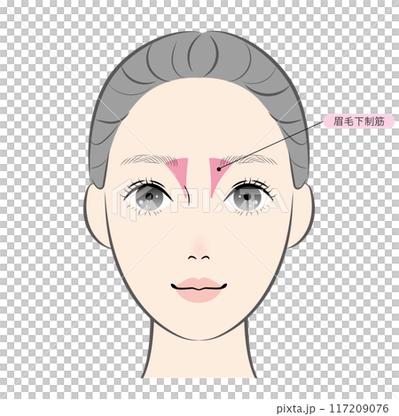 Depressor brow bones (named) 117209076