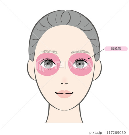 眼輪筋（名称あり） 117209080