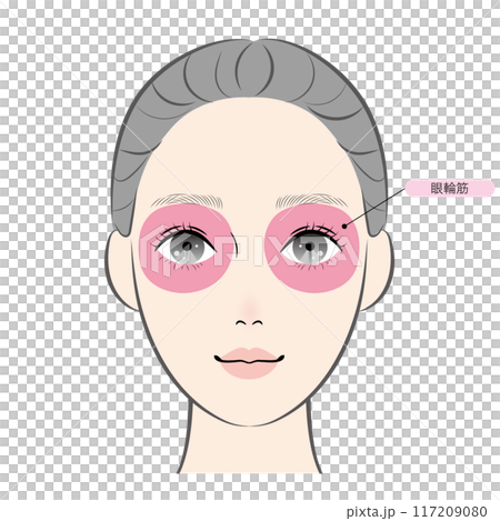 眼輪筋（名称あり） 117209080