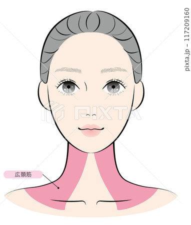 広頚筋（名称あり） 117209160