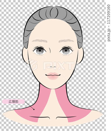 広頚筋（名称あり） 117209160