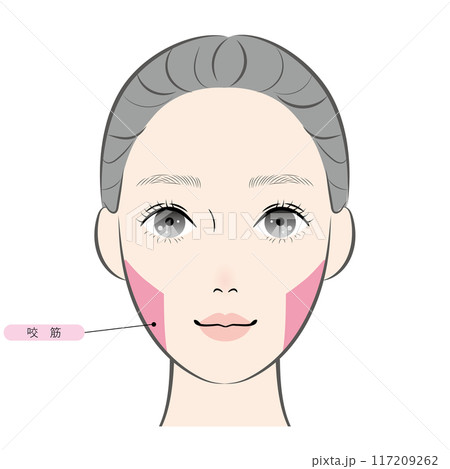 咬筋(名称あり) 咬筋(名称あり) 117209262
