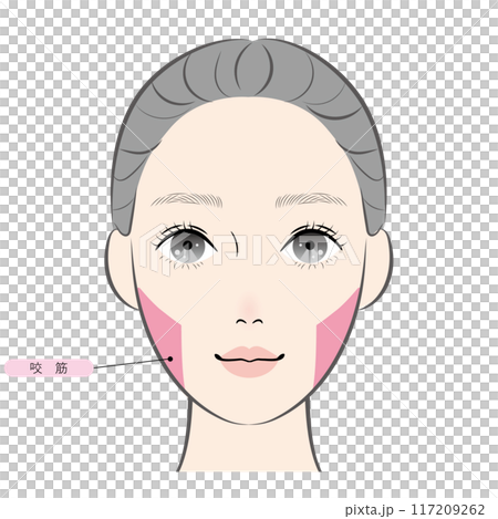 咬筋(名称あり) 咬筋(名称あり) 117209262