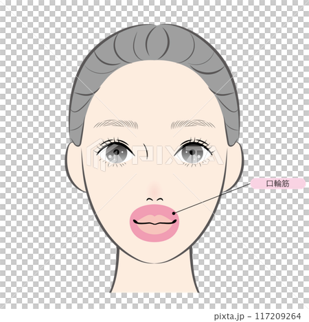 口輪筋(名称あり) 口輪筋(名称あり) 117209264
