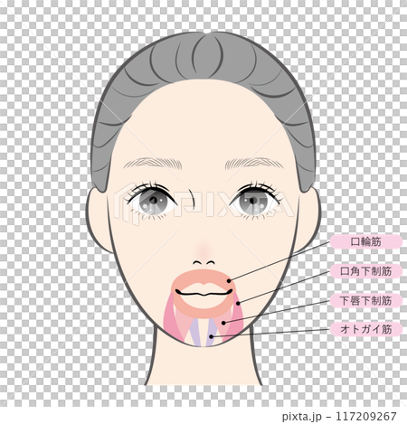 口の周りの筋肉（名称あり） 117209267