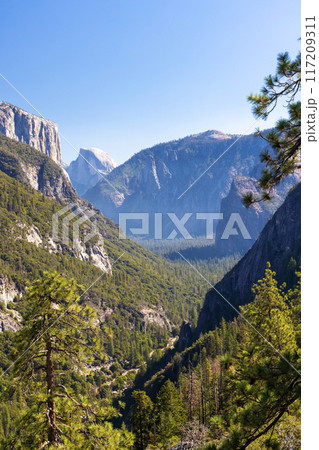 El Capitan mountain in Yosemite National Park 117209311
